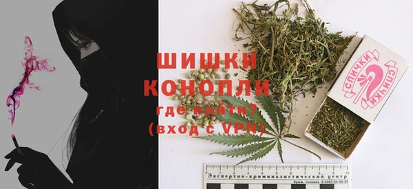 ГАЛЛЮЦИНОГЕННЫЕ ГРИБЫ Верея