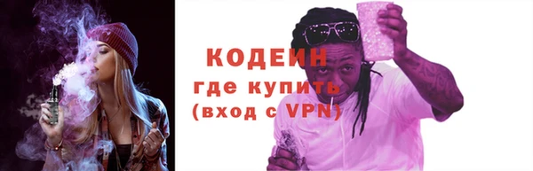 ГАЛЛЮЦИНОГЕННЫЕ ГРИБЫ Верея