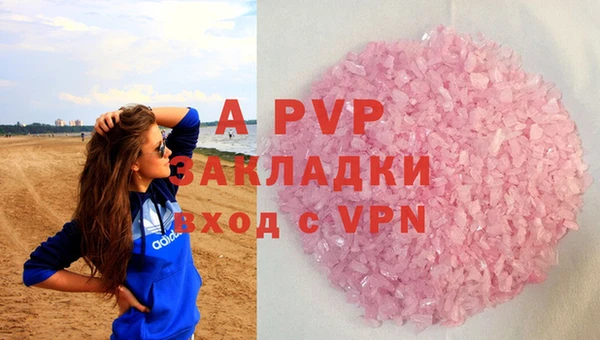 ГАЛЛЮЦИНОГЕННЫЕ ГРИБЫ Верея