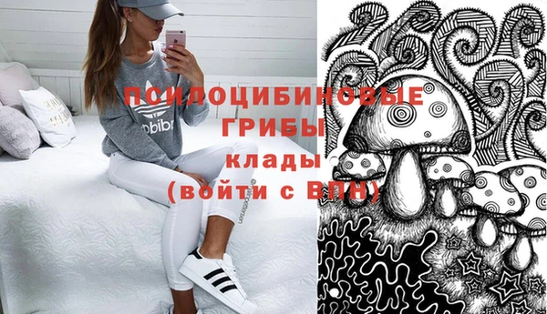 ГАЛЛЮЦИНОГЕННЫЕ ГРИБЫ Верея