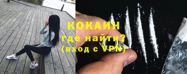 ГАЛЛЮЦИНОГЕННЫЕ ГРИБЫ Верея