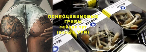 прущие грибы Верхнеуральск