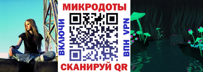 купить   Белгород  Псилоцибиновые грибы мицелий 